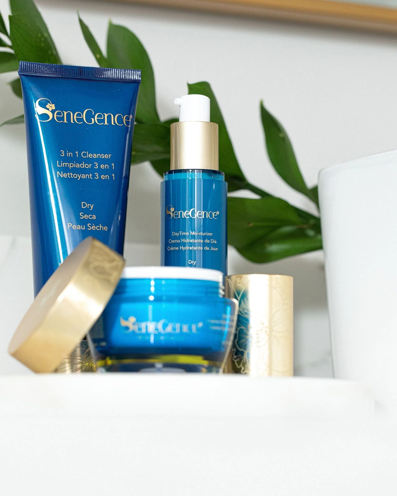 3 in 1 Cleanser - Dry - Image 3