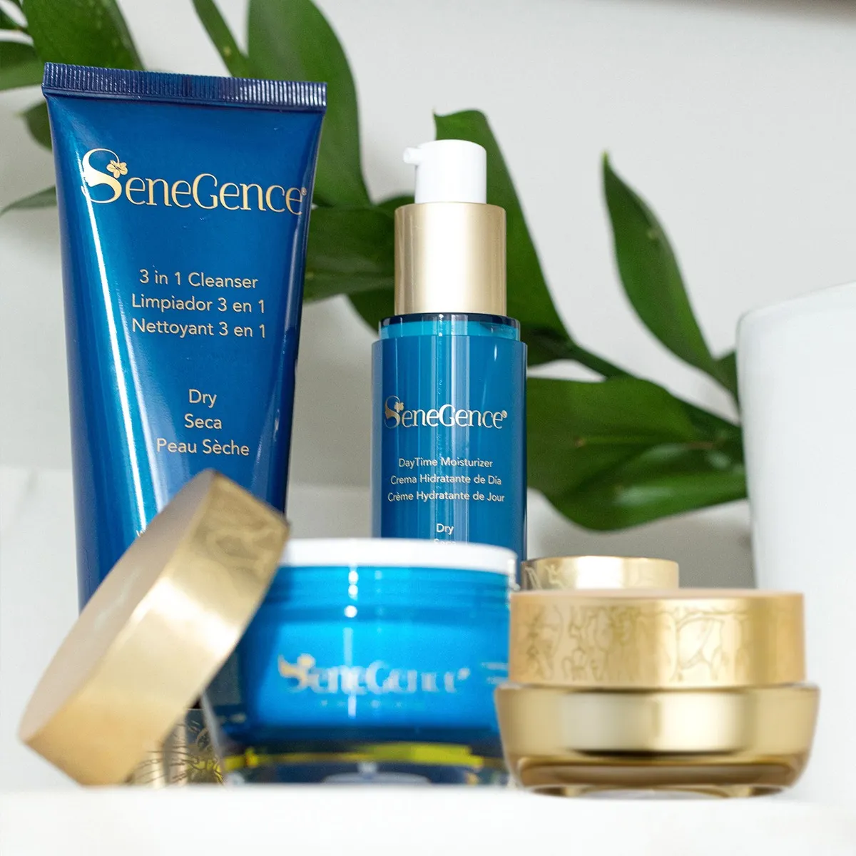 Dry SkinCare Regimen Set MX - Image 2