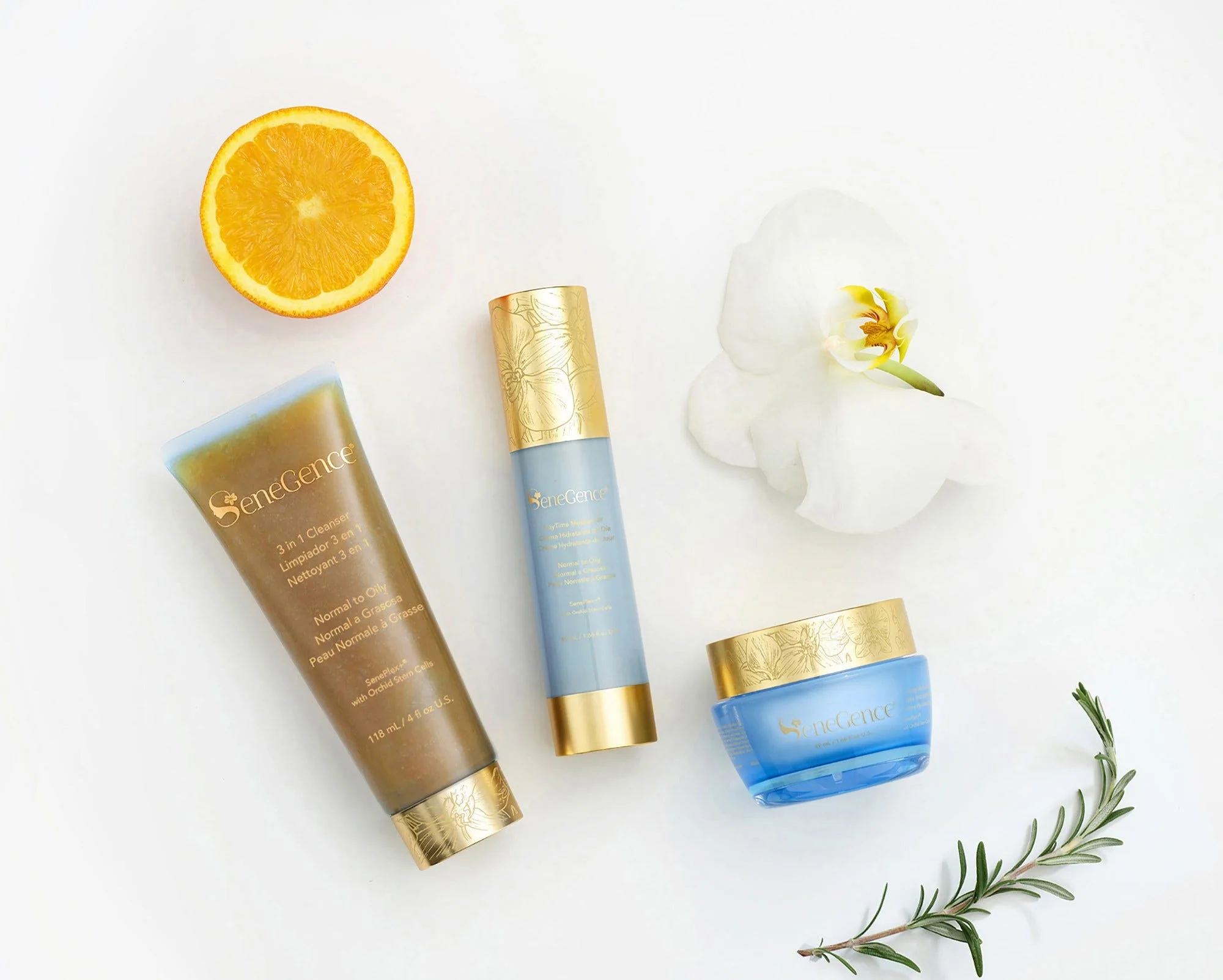 Evening Moisturizer - Normal to Oily - Image 5