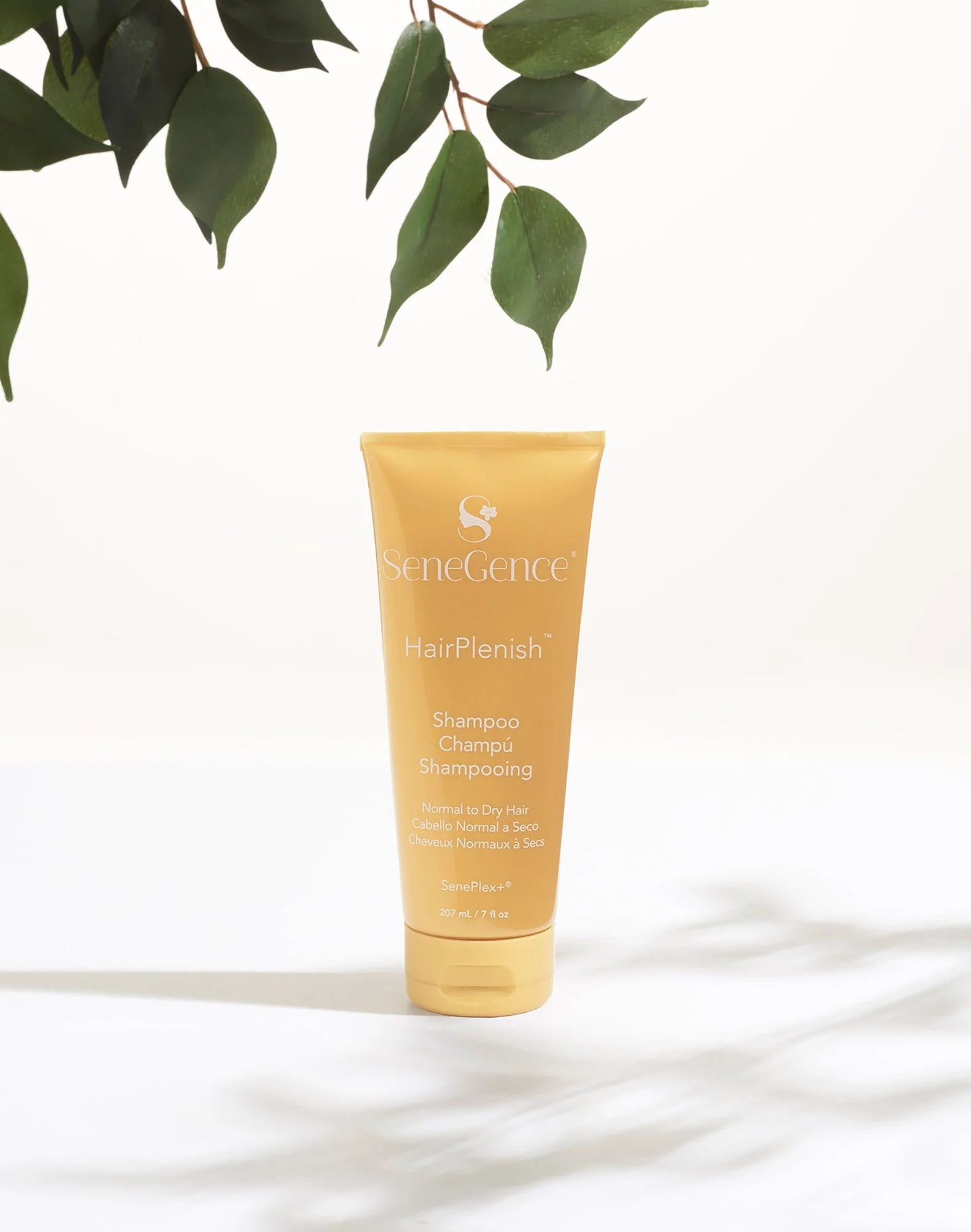 HairPlenish® Shampoo - Image 4