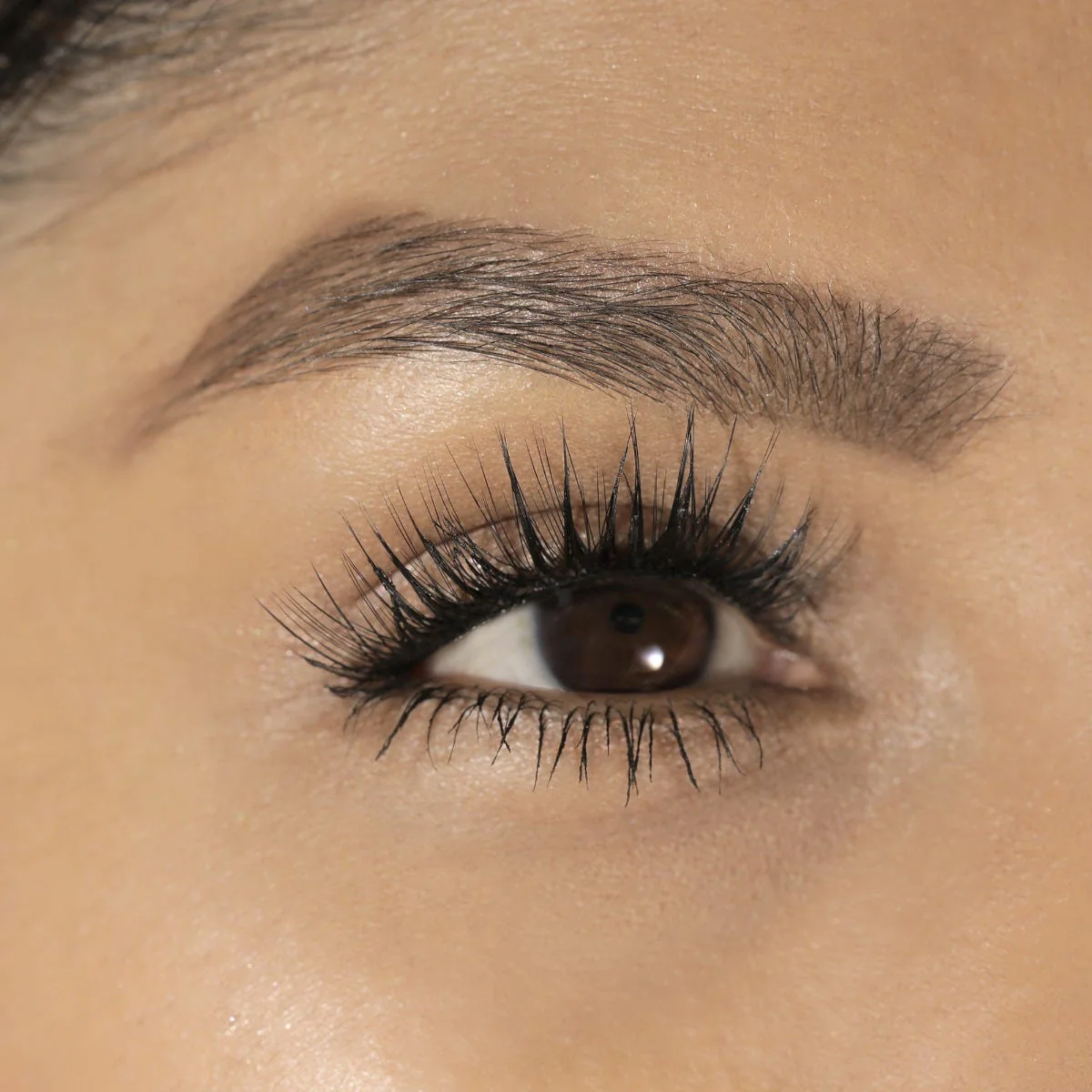 LashSense® Lashes Bloom Box - Image 3