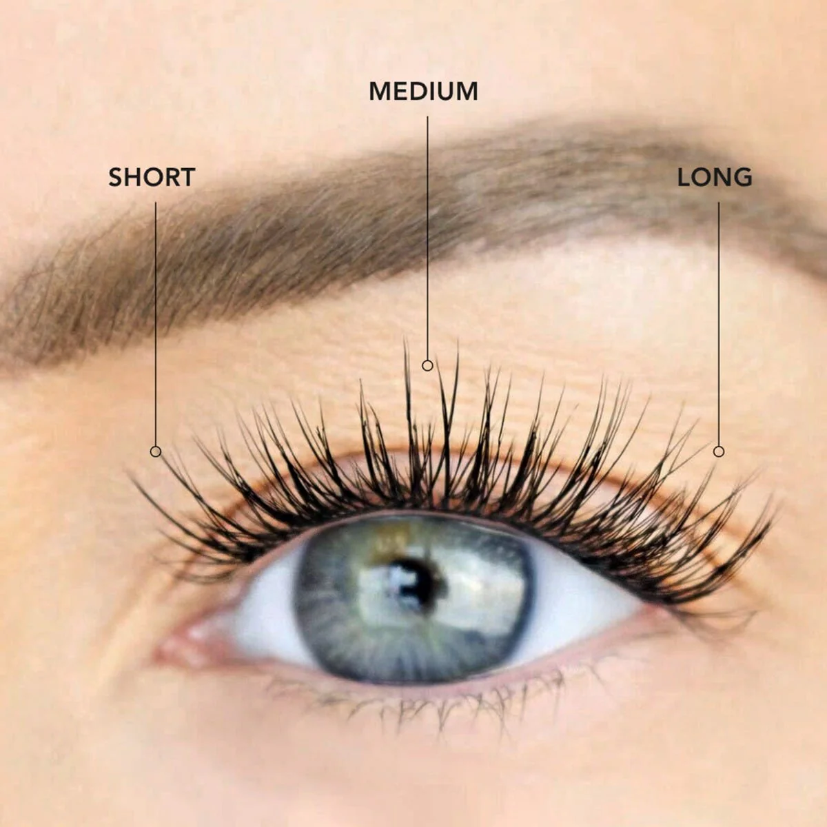 LashSense® Lashes Bloom Box - Image 5