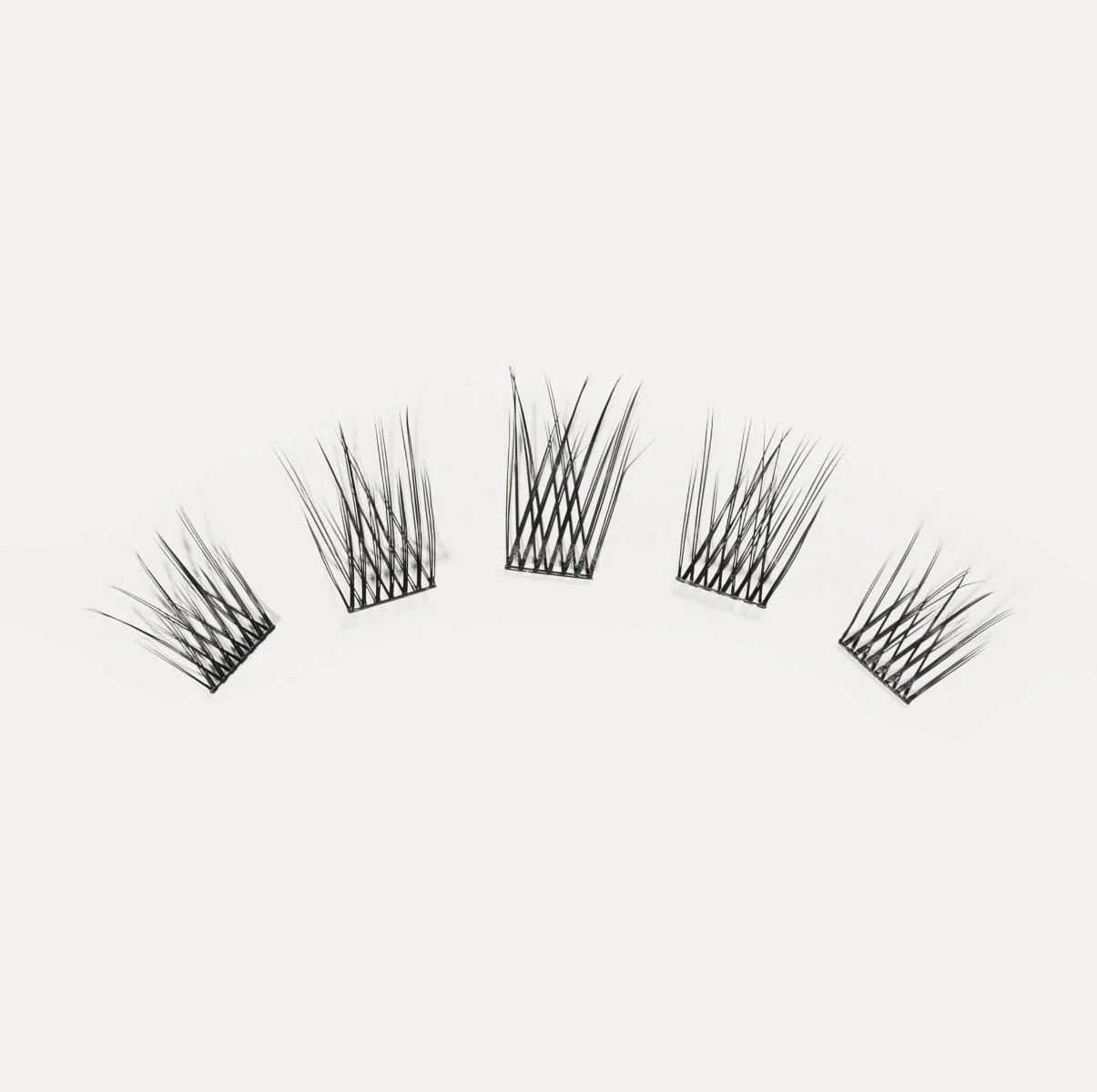 LashSense® Lashes Bloom Box CAN - Image 2