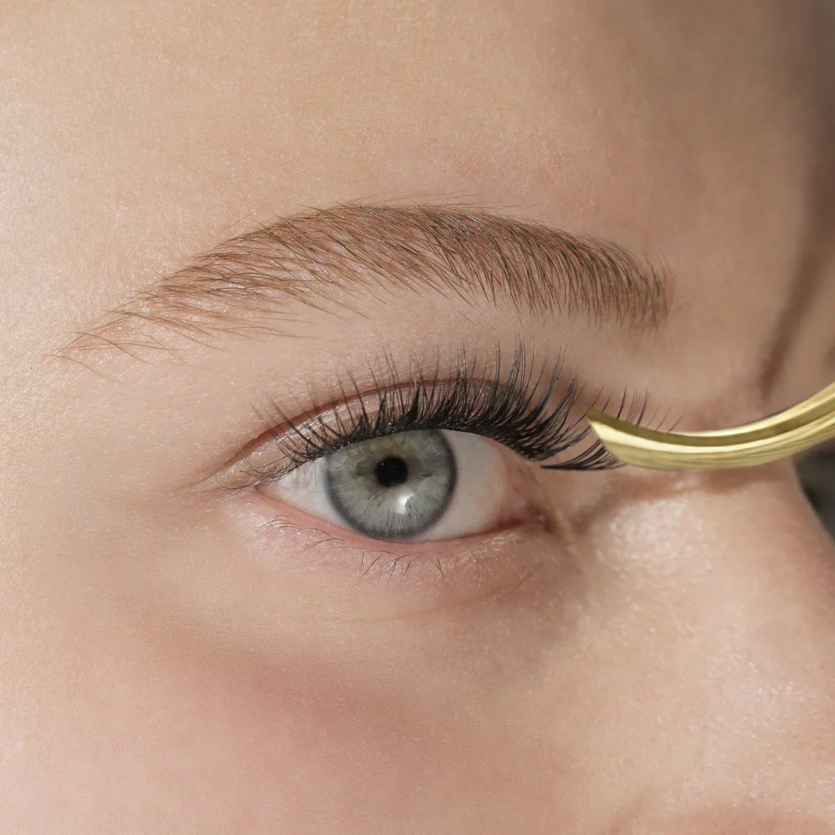 LashSense® Lashes Bloom Box CAN - Image 4