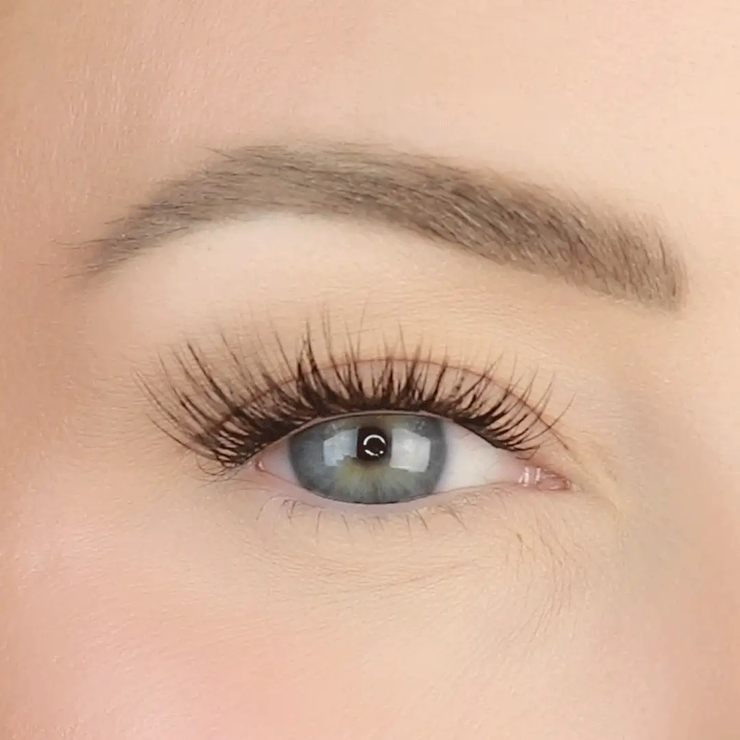 LashSense® Lashes Bloom Box CAN - Image 6