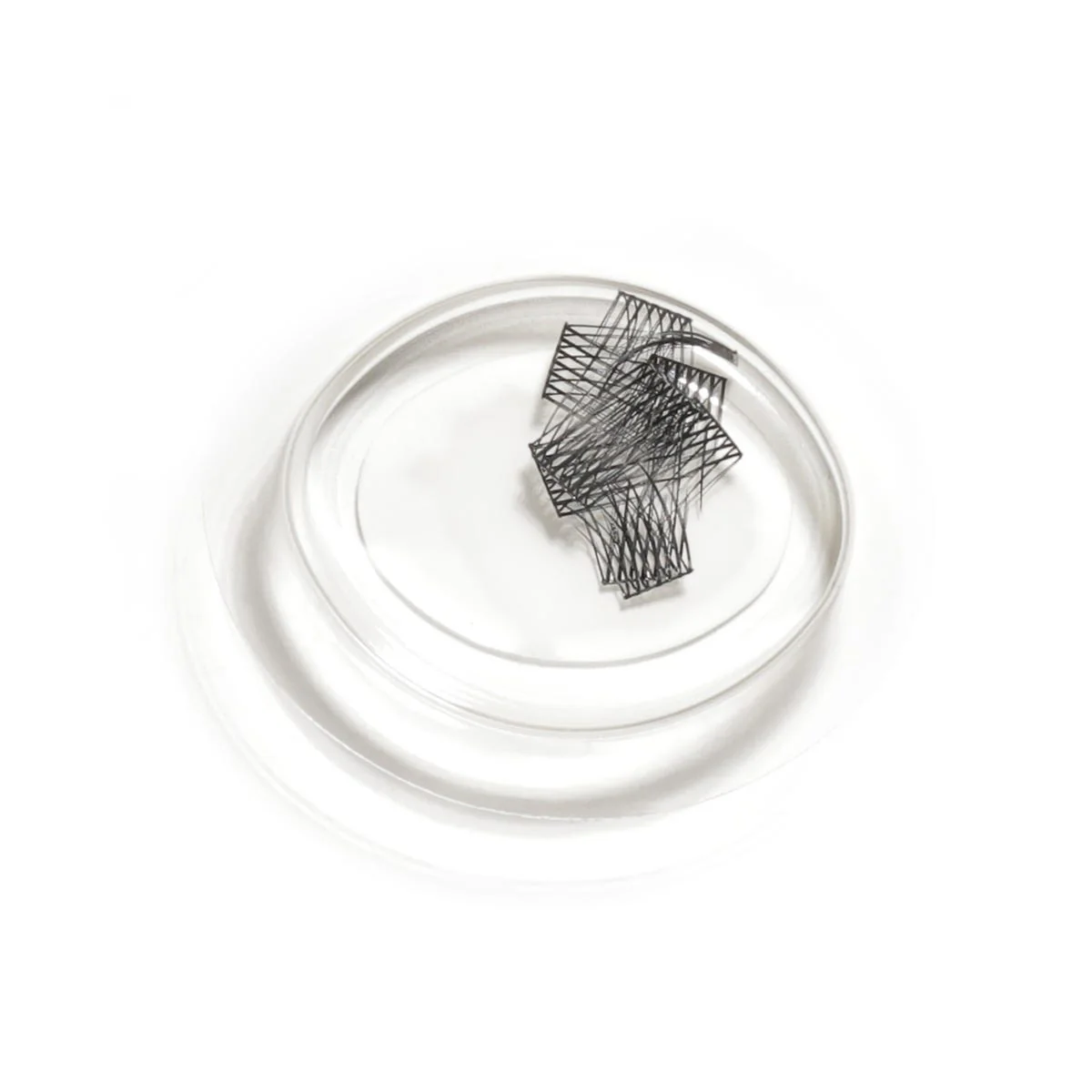 LashSense Lashes Refill - Plumeria (4 ct.) - Image 3