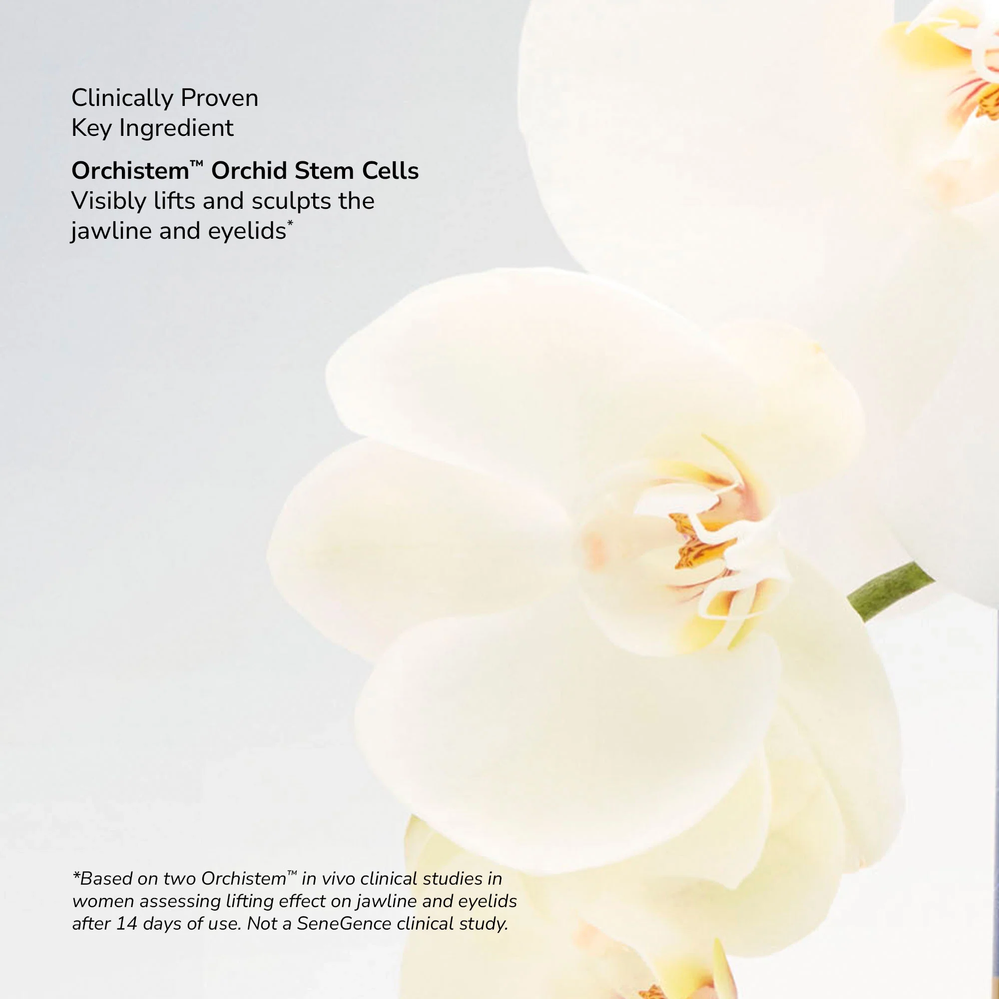 SeneCell™ SenePlex+® StemCell Concentrate - Image 13